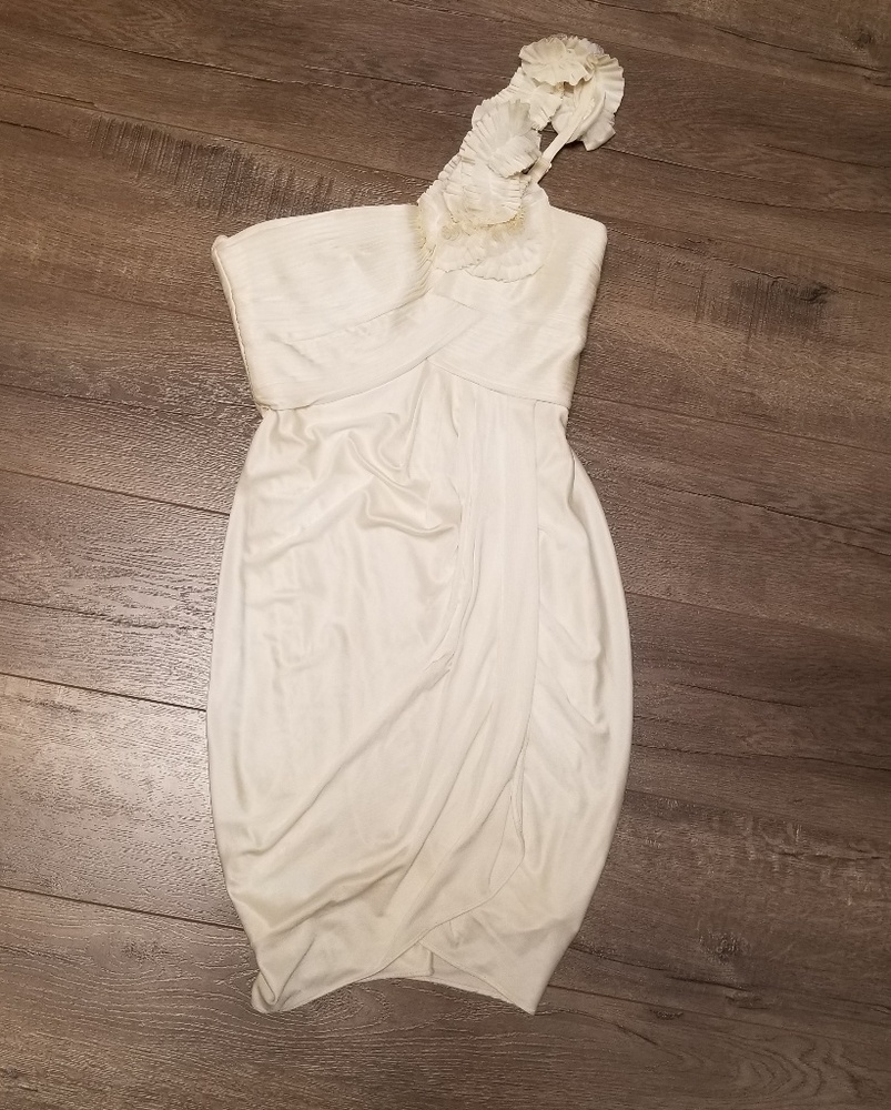 BCBG cocktail dress